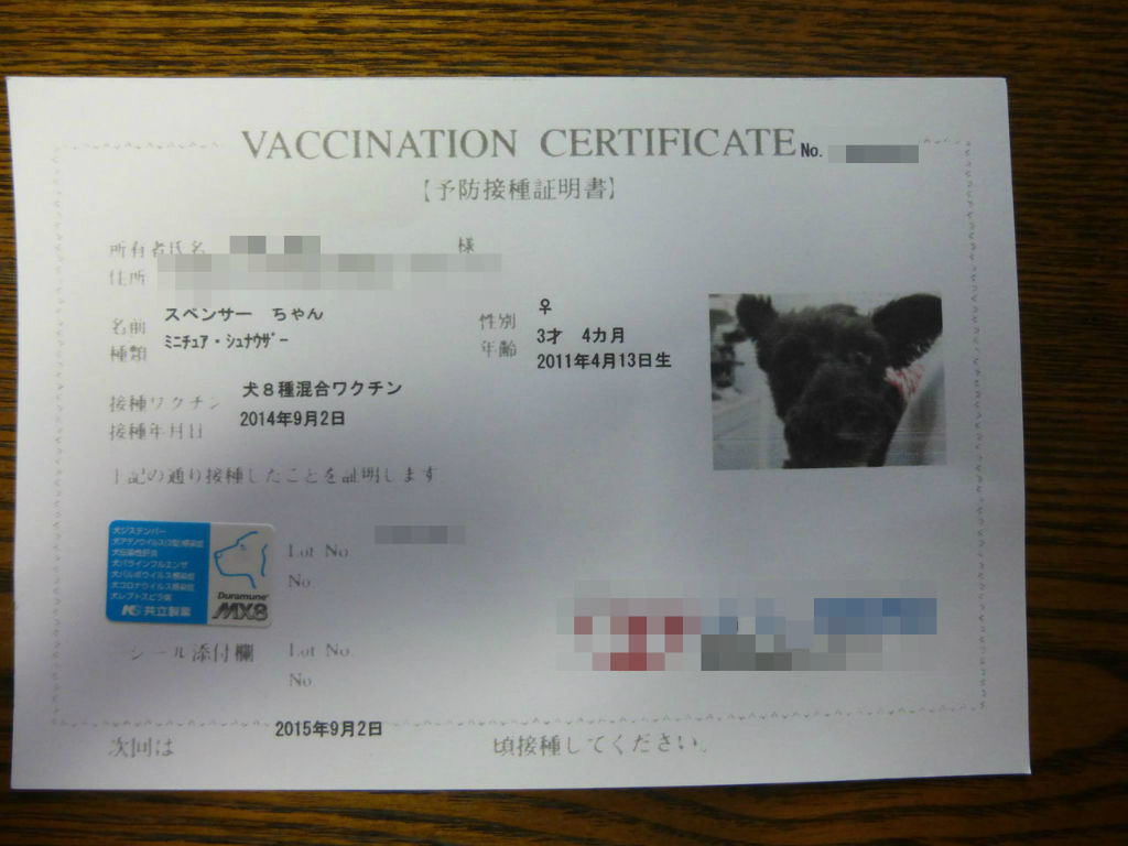 犬8種混合ワクチン接種 14 Spencerの絵日記 犬8種混合ワクチン接種 14 Spencerの絵日記