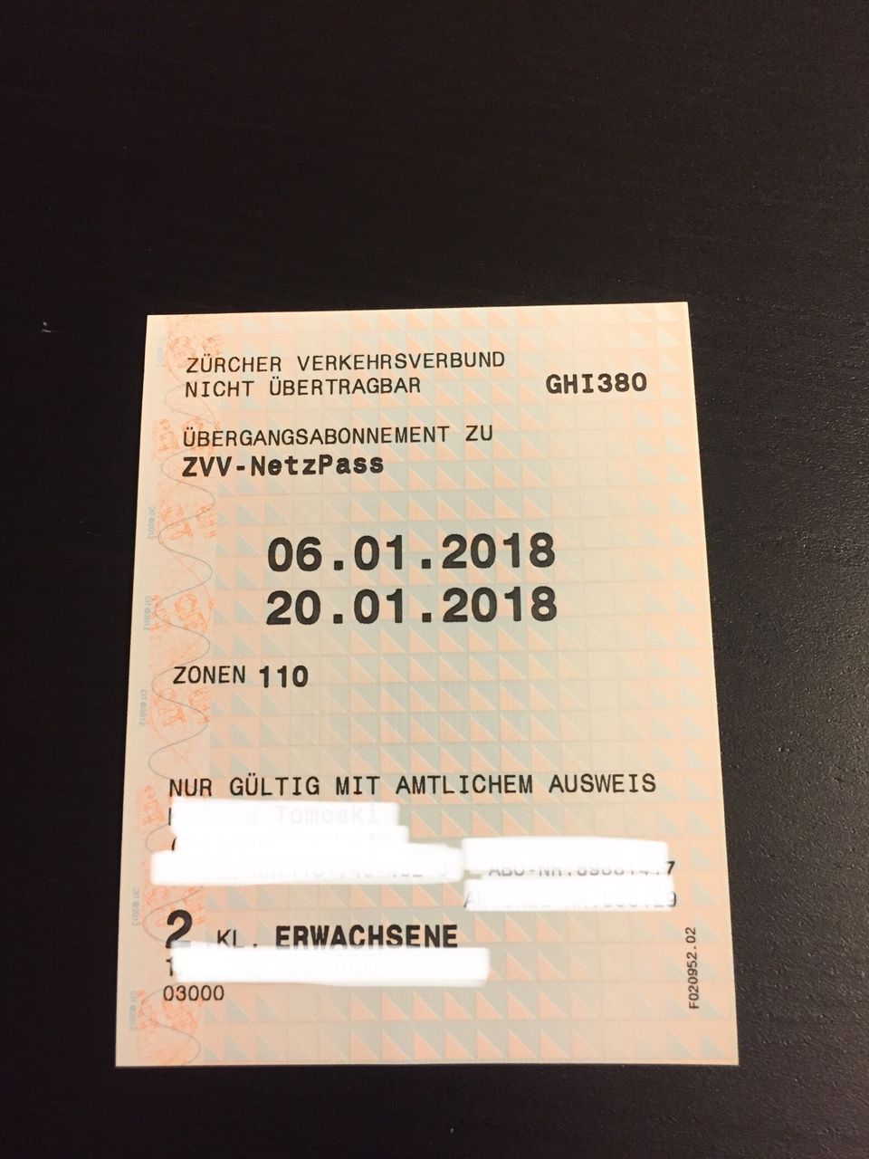 スイス チューリヒの定期券を買う ハカセとアイ 研究留学記 スイス チューリヒの定期券を買う ハカセとアイ 研究留学記
