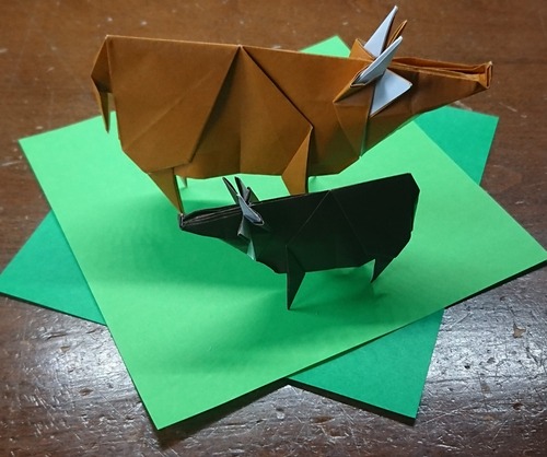 IMG_20210101_074612_965