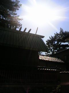 619932a1.jpg