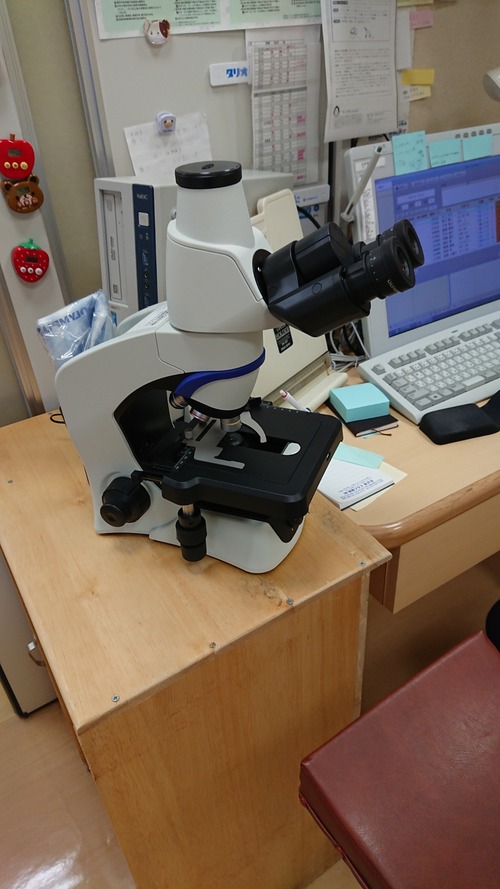 DSCPDC_0003_BURST20190325132429581_COVER