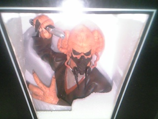 Star Wars - Mini Bust: Plo Koon : DONどん no ほのぼの日記 Star Wars - Mini Bust: Plo Koon : DONどん no ほのぼの日記