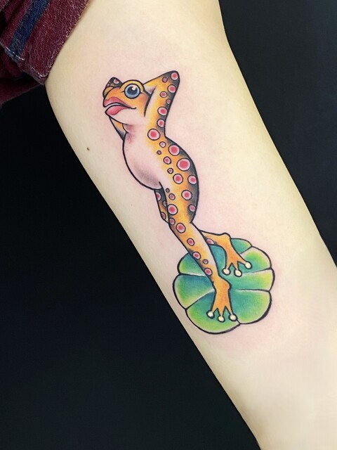 IMG_6025 - ���ԡ�