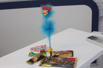 IMG_0845