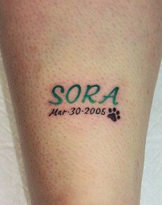 IMG_0546 - ���ԡ�