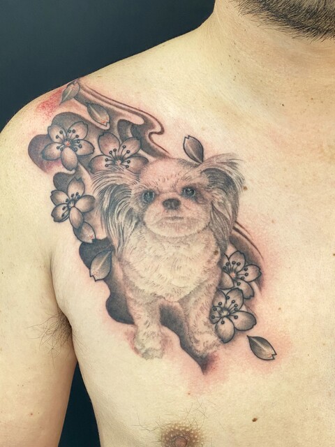 IMG_2478 - ���ԡ�