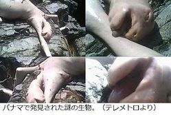 0d7e38cb3d615a7527f6d6863df0dae4ca7fb6c4