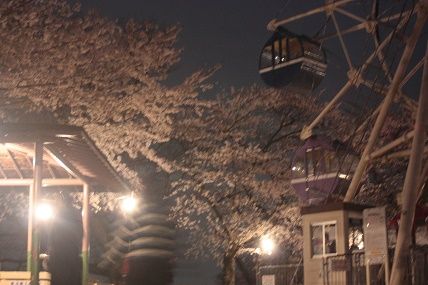 IMG_0635 - コピー