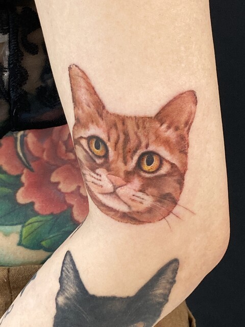 IMG_8155 - ���ԡ�