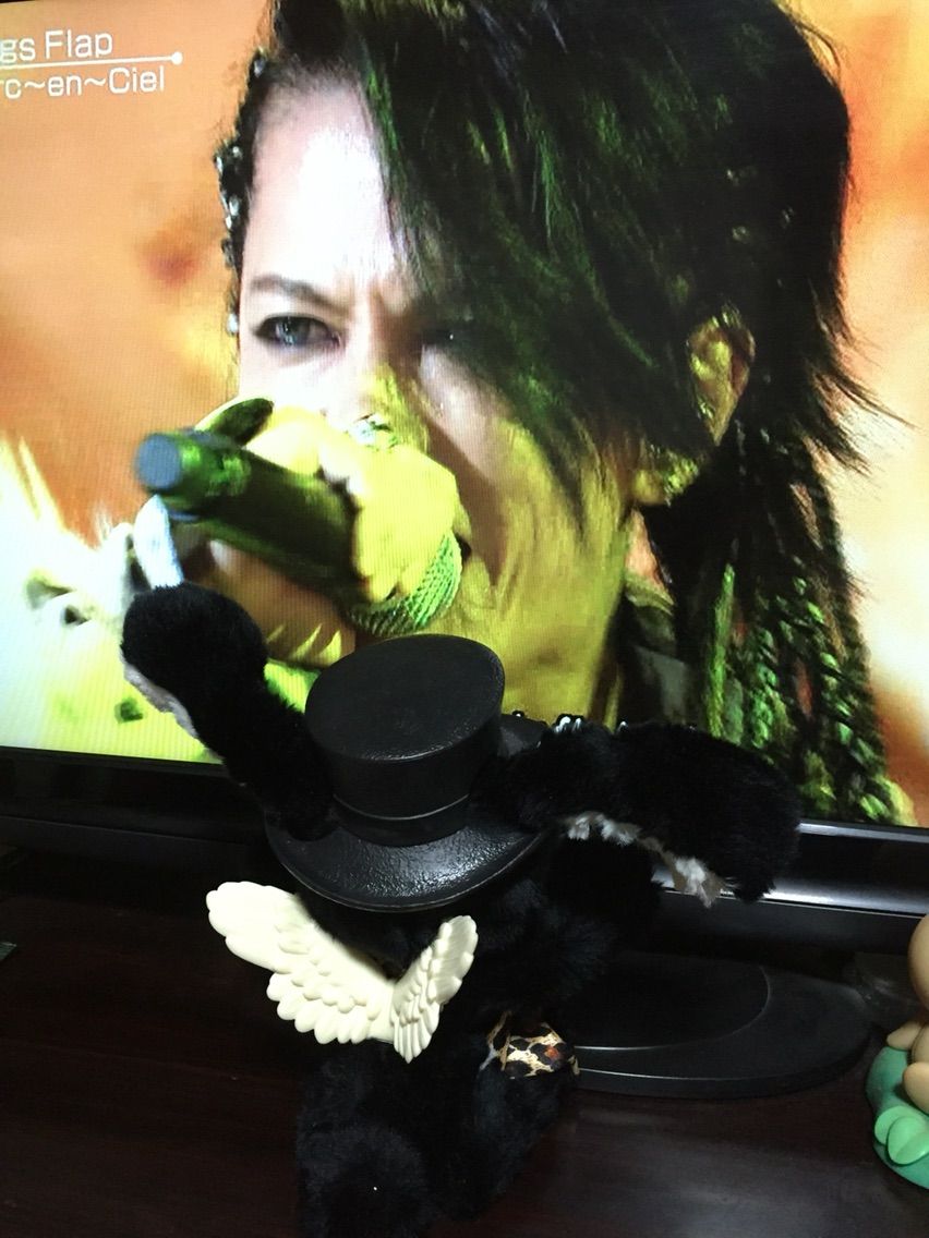 初テレビラルク はねうさたんのひとりごと 初テレビラルク はねうさたんのひとりごと
