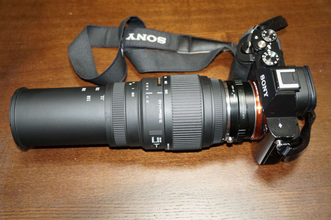 カメラ Sigma 70 300mm F4 5 6 Dg Macro レビュー アボガドバーガー
