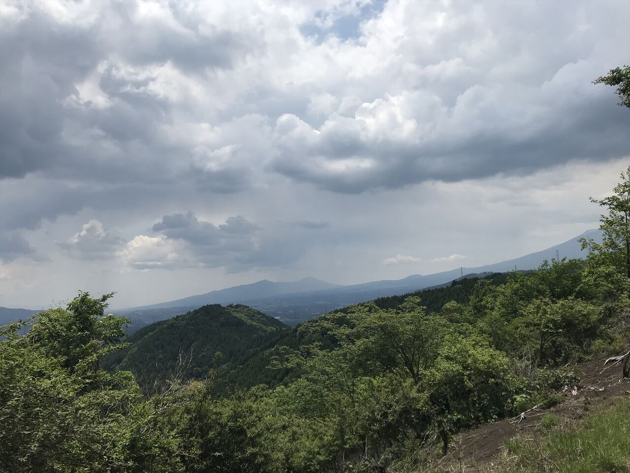 山登り 不老山へ野生の薔薇を見に行ったよ アボガドバーガー 山登り 不老山へ野生の薔薇を見に行ったよ アボガドバーガー