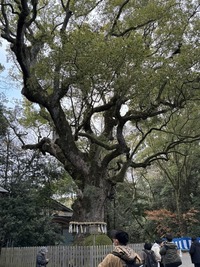 IMG_2544