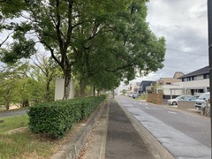 IMG_1609