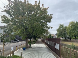IMG_1830
