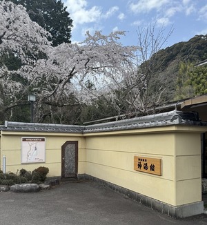 image_123650291