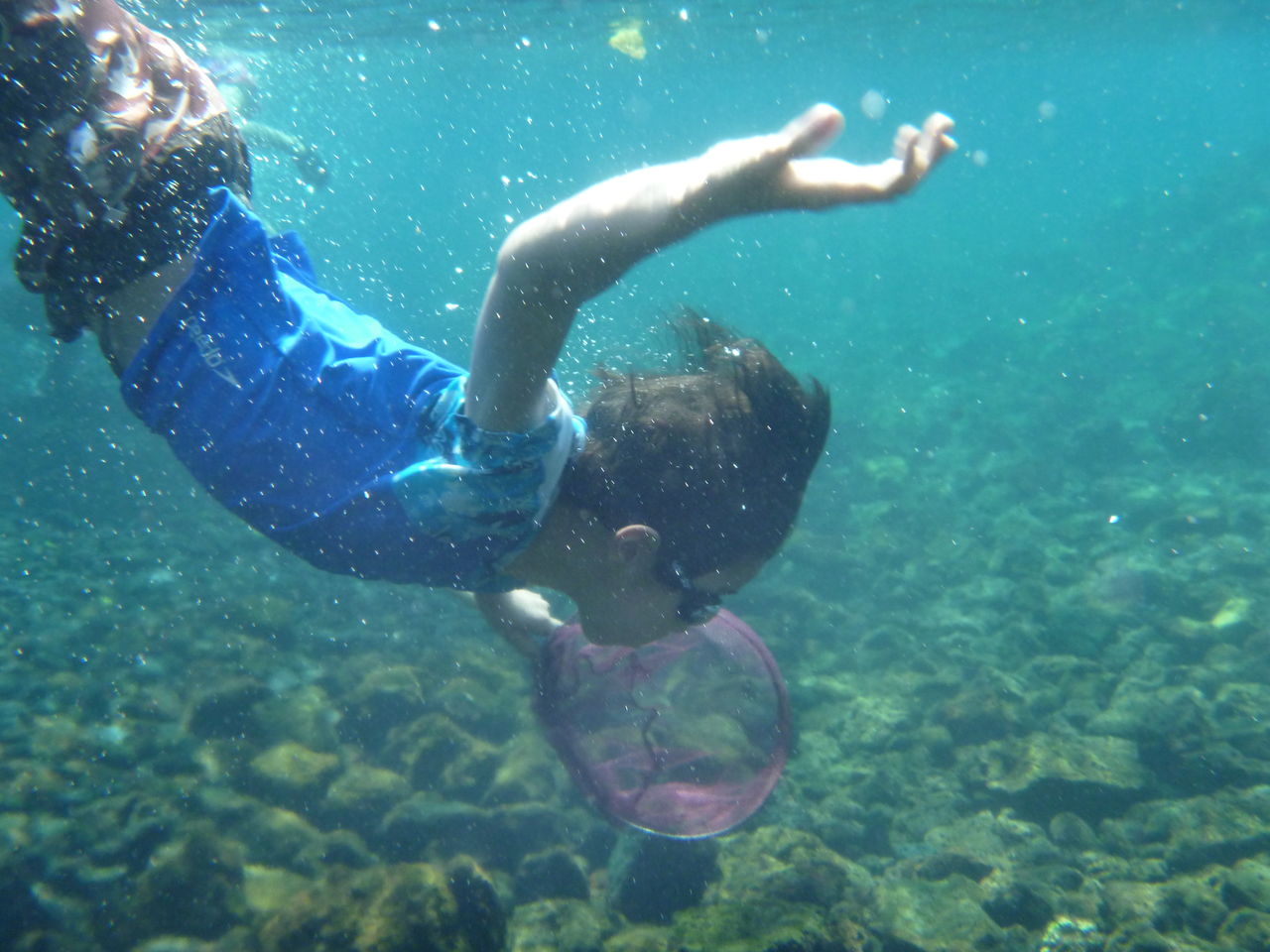 シャンパンポンド ビッグアイランド ハワイ発信 スピリチュアルダイアリー