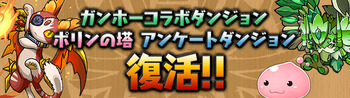 パズドラ ダンジョン 復活
