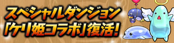パズドラ ケリ姫コラボ