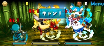 パズドラ　水と光の犬龍