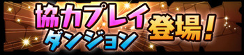 パズドラ　協力プレイダンジョン