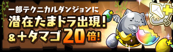 パズドラ　テクダン　潜在たまドラ出現　＋タマゴ20倍