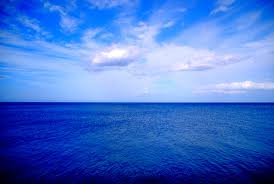 パズドラ 大海原