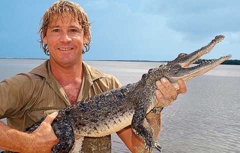 Steve_Irwin