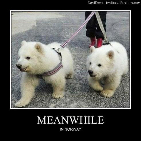 Meanwhile-Best-Demotivational-poster