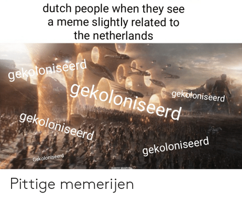 dutch64284661