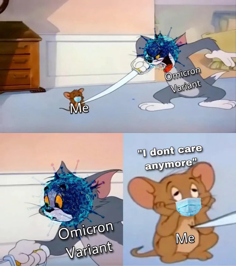 hfkgvbd