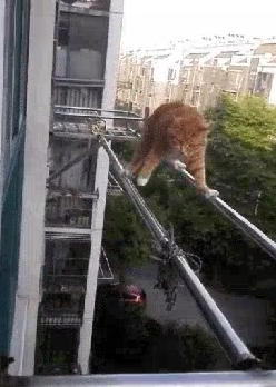 キャプチャ