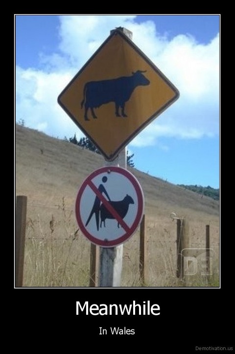 us_Meanwhile-In-Wales_131453835395