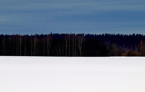 Eesti_lipp