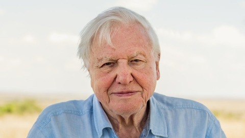 _114585177_attenborough1_pa