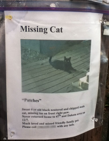 lost-cat-poster-patches-2