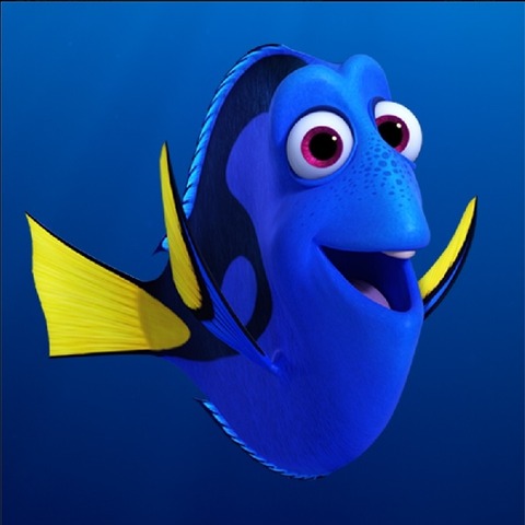 finding-dory