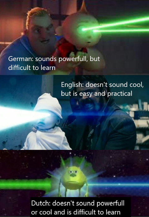 9twknpbiy3y81