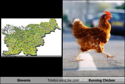 slovenia-totally-looks-like-a-running-chicken
