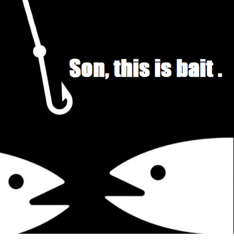 son-this-is-bait-34901044