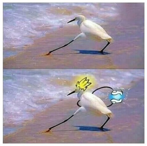 yba3grogzwlz