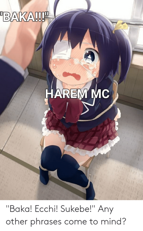 baka-ecchi-sukebe