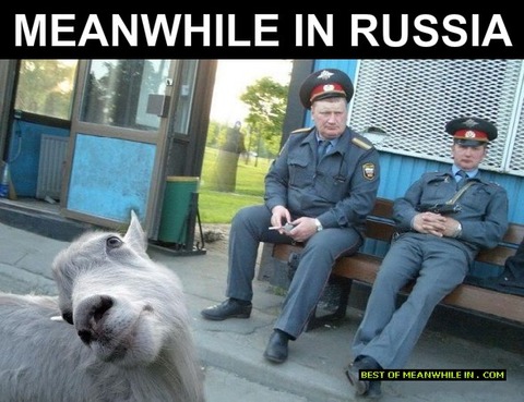 meanwhile-in-russia-goat