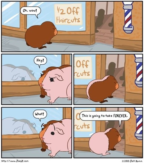 12-off-haircuts