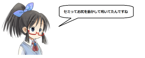 キャプチャ