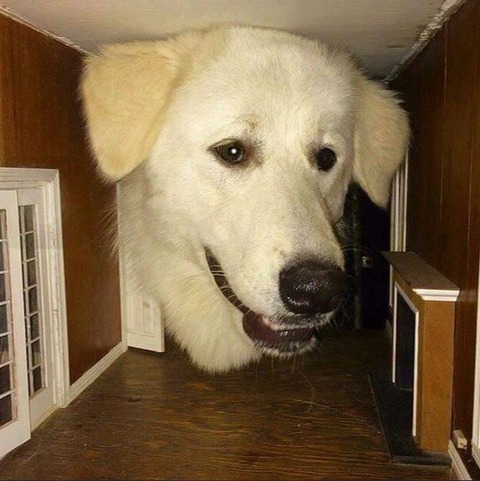 3c5l0zln5ra41