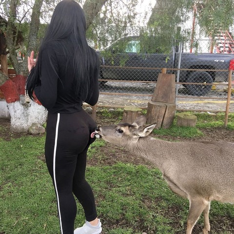 xZmA5LI6STp4