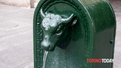 toret-2-2