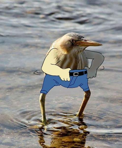 hUrPCBM0LXkf18f4E