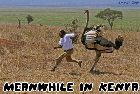 meanwhile-kenya
